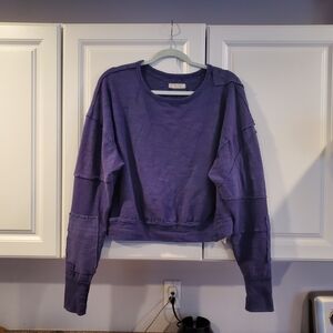 Free People Purple Distressed Sweatshirt